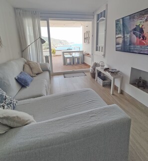 Smart TV, lareira, livros