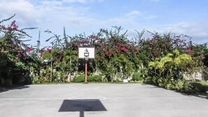 Un terrain de basket en plein air, doté d’un panier, entouré d’une végétation luxuriante et de plantes en fleurs.