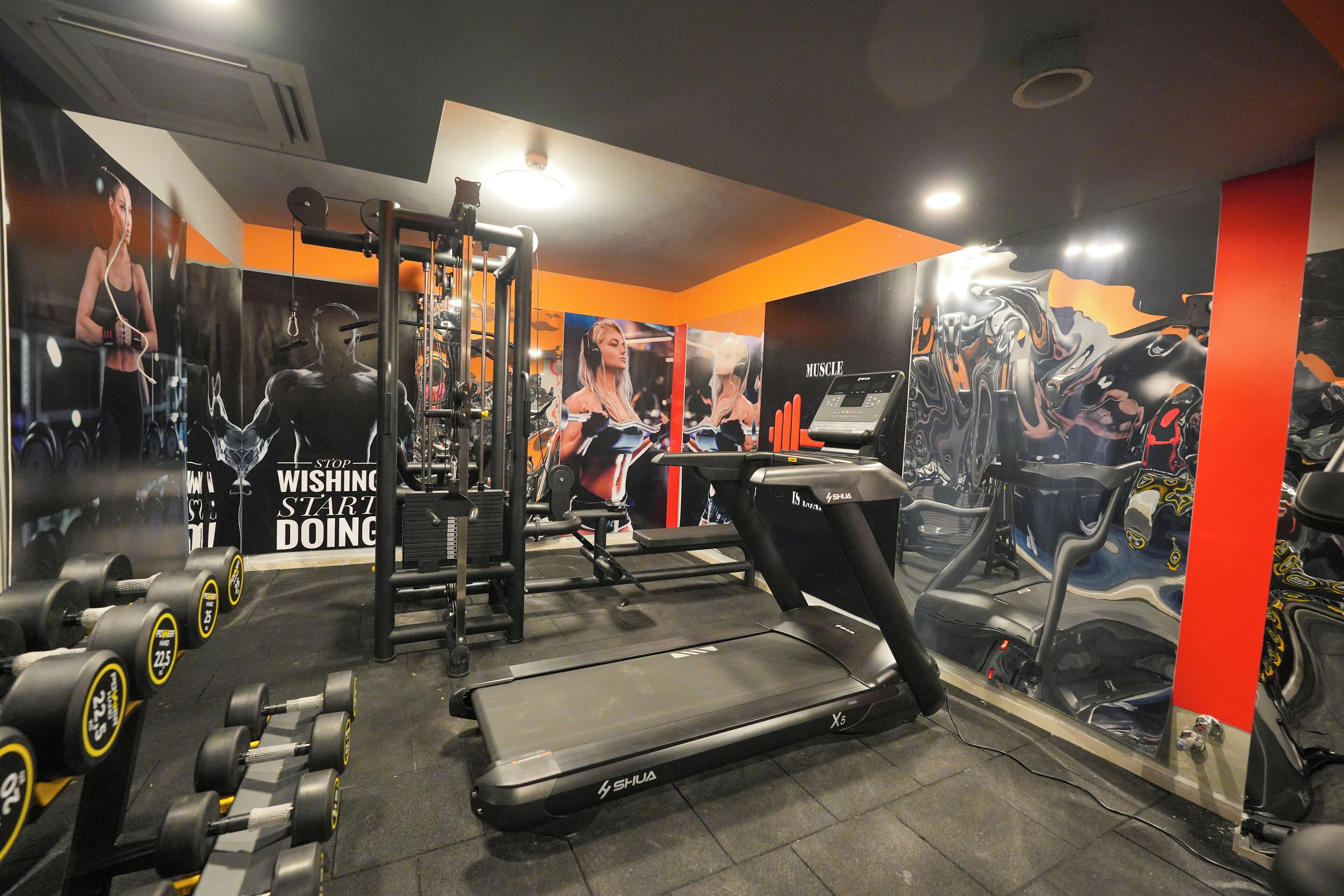 A gym with treadmills, dumbbells, and weight machines.
