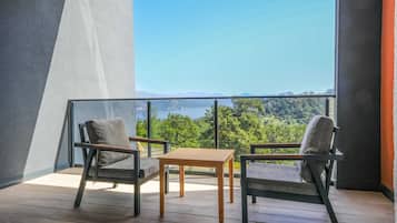 Standard Room | Terrace/patio