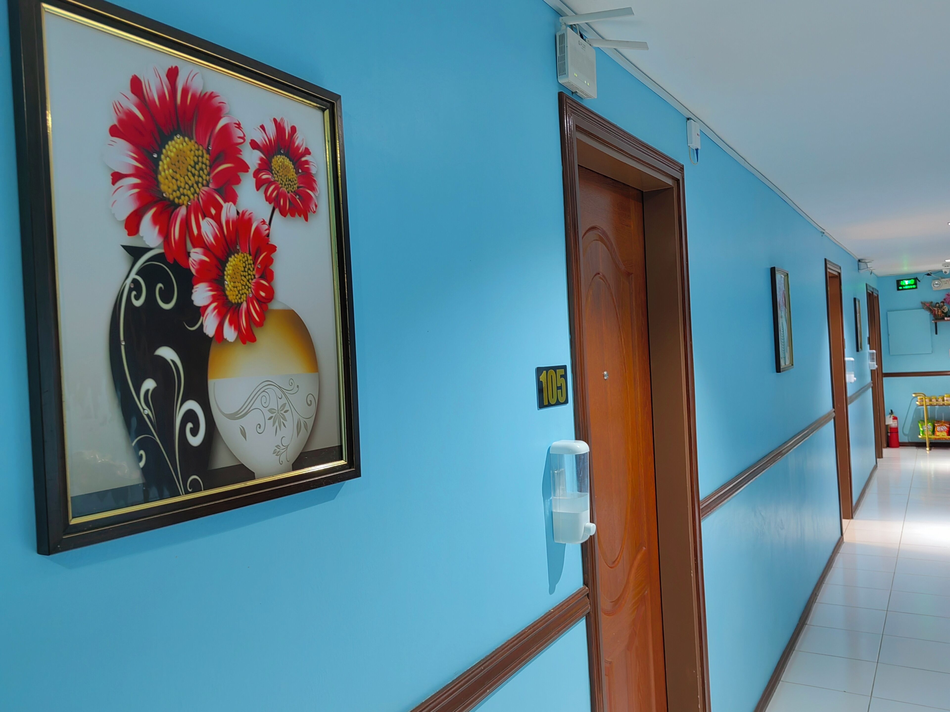 A hallway with a framed floral artwork, a door labeled '105', and a corridor leading to a room with a bed and a nightstand.