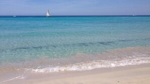 A beach with clear turquoise water, a sandy shore, and a sailboat in the distance. - Maison pieds dans l'eau St Florent (Saint-Florent)