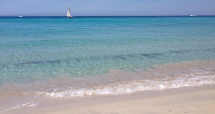 Maison pieds dans l'eau St Florent