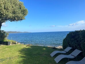 A seaside view with a grassy area, a metal fence, and two lounge chairs.