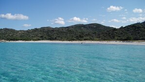A clear turquoise sea with a sandy beach and a forested hill in the background. - Maison pieds dans l'eau St Florent (Saint-Florent)