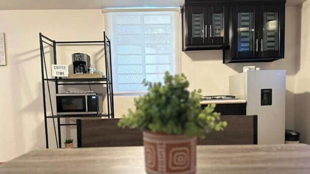 Une cuisine avec des meubles de couleur sombre, un coin café et une plante en pot sur la table.