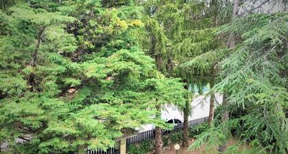 2 Bedroom Apartment in Altipiani di Arcinazzo