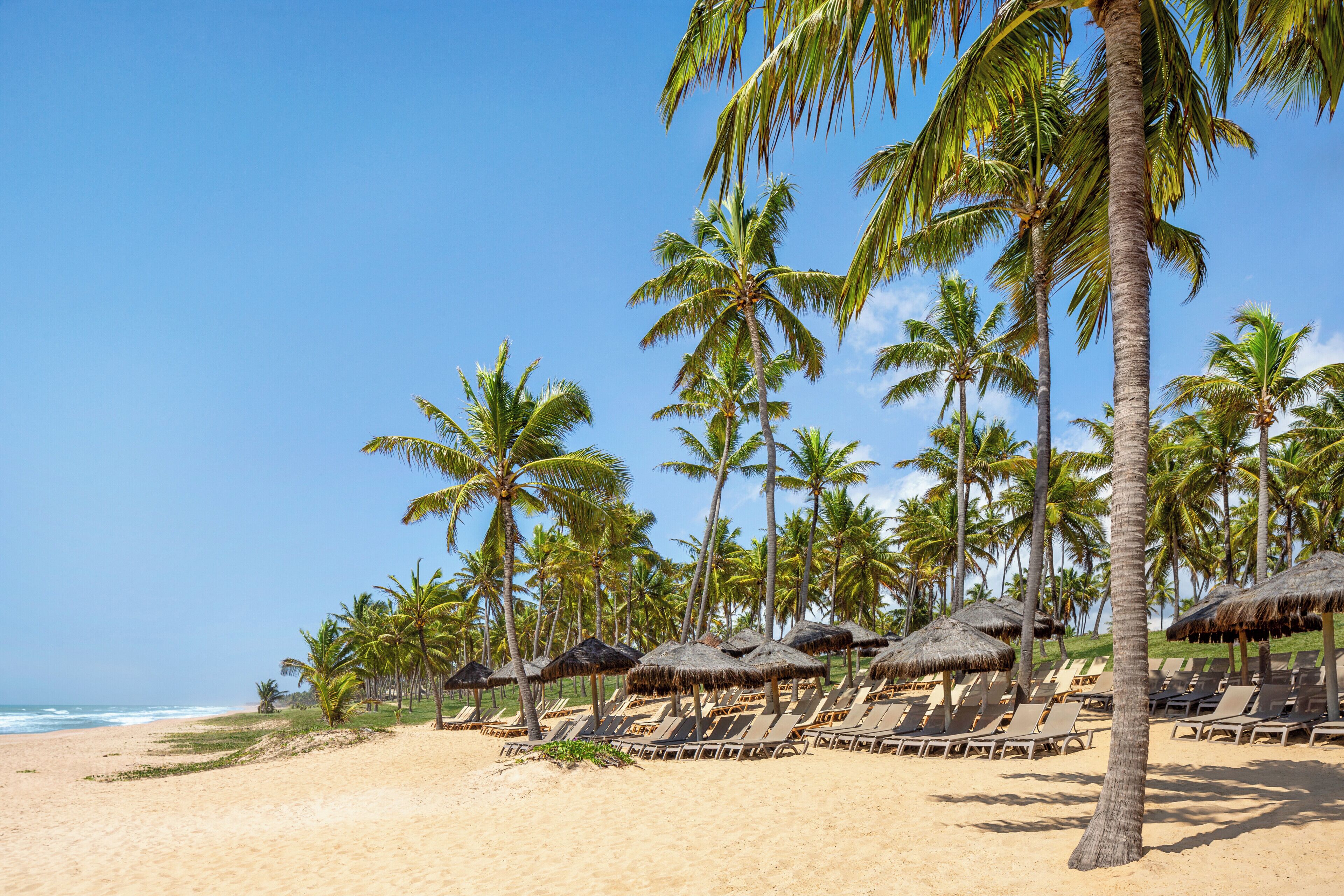 On the beach, free beach shuttle, beach bar