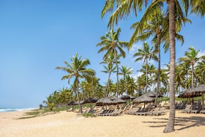 On the beach, free beach shuttle, beach bar
