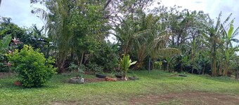 Kaiheke Lodge 4 bedrooms 4 bathrooms 12 people 