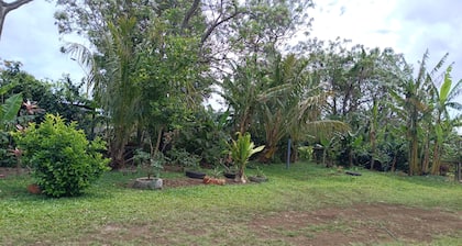 Kaiheke Lodge 4 bedrooms 4 bathrooms 12 people