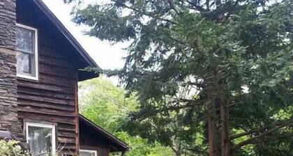 Catskills Farmhouse and Summertime Fun!