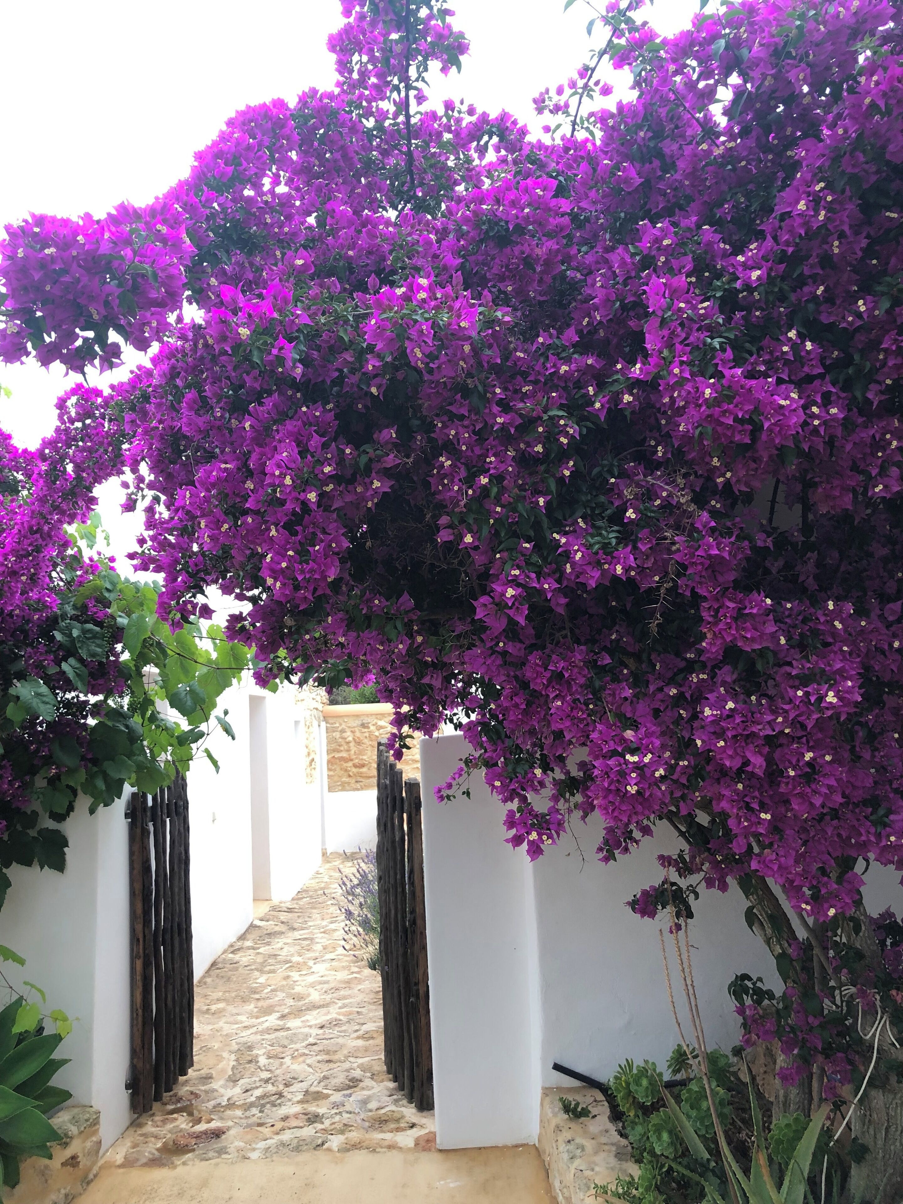 Enceinte de l’hébergement