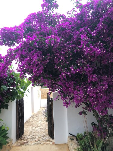 Can Bonet de Baix Está Situada en el Centro de la Isla y Tiene Vistas al Campo