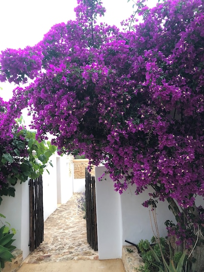 Can Bonet de Baix Está Situada en el Centro de la Isla y Tiene Vistas al Campo