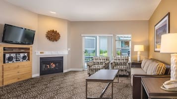 電視、壁爐、DVD 播放機