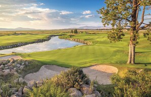 A golf course with a pond, sand bunkers, and a pine tree.