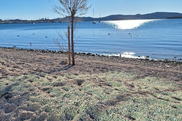 Lettini da mare, teli da spiaggia