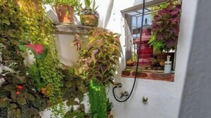 Un espacio al aire libre pequeño y cerrado, con ducha, plantas en macetas y suelo de baldosas.