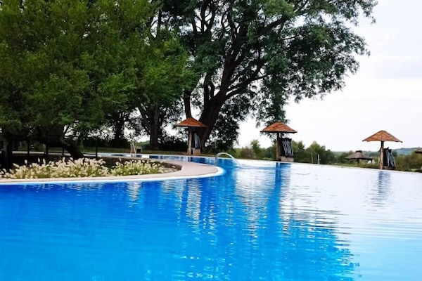 Outdoor pool, pool umbrellas, pool loungers