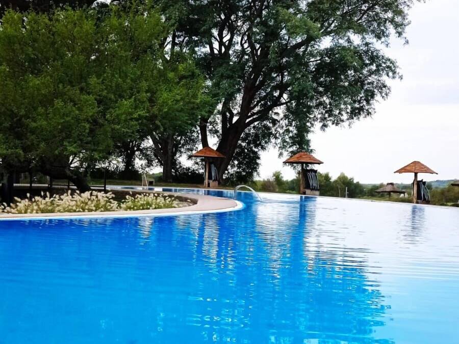 Kolam renang outdoor, dengan payung kolam renang dan kursi berjemur