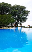 Una piscina al aire libre, sombrillas, sillones reclinables de piscina