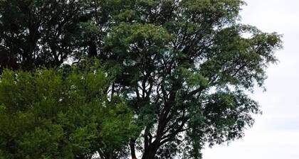 Apart Club San Pedro