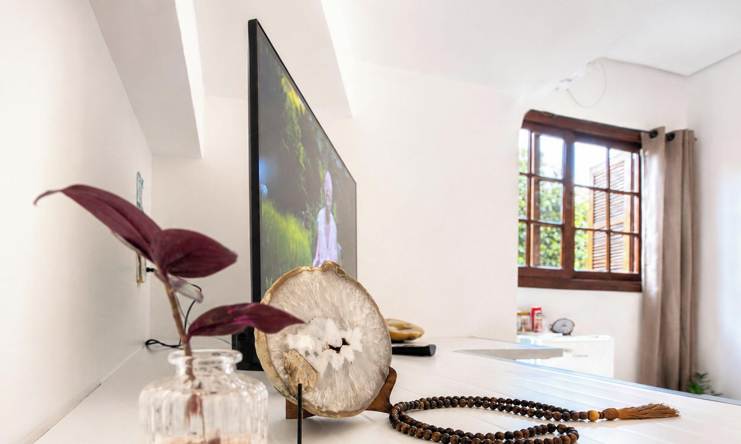 A room with a TV, a plant, a wooden object, and a window with curtains.