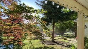 A covered outdoor area with string lights, a garden with various plants, and a bench. - Historic Lake Roosevelt Home (Kettle Falls)