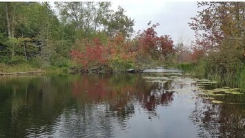 This is beautiful Parks Creek which runs at the back of the property