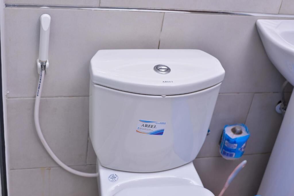 A white toilet with a water tank and a bidet attachment.