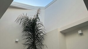 Une lucarne dans une pièce où se trouve une grande plante.
