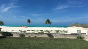 Une vue sur la plage, avec un ciel dégagé, des palmiers et une zone sablonneuse. Au premier plan, on aperçoit un petit muret et de l’herbe.