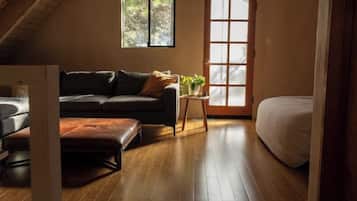 TV connectée, cheminée, livres