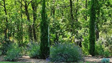 Superior Suite, Accessible, Ensuite (Mistral) | 1 bedroom, in-room safe, soundproofing, free WiFi