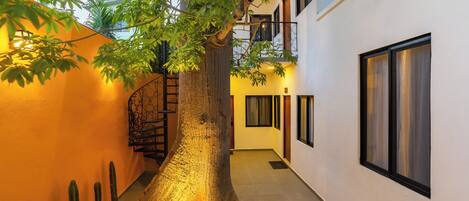 A narrow corridor with a large tree trunk, a spiral staircase, and a white building with a balcony.