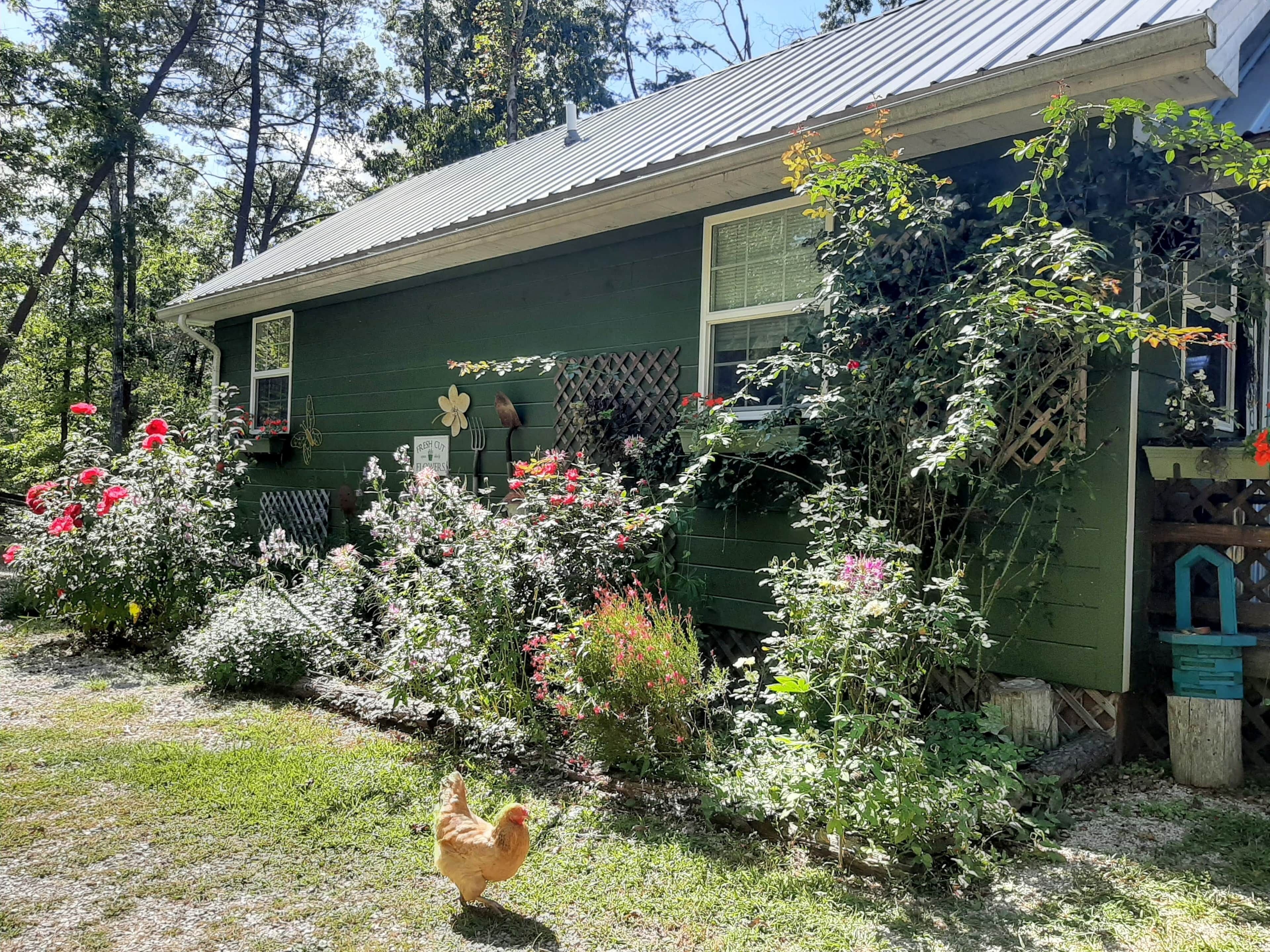 Jardines del alojamiento