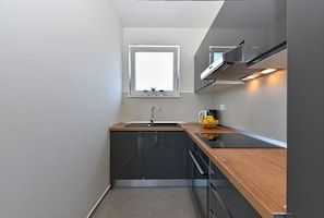 Fridge, oven, stovetop, dishwasher