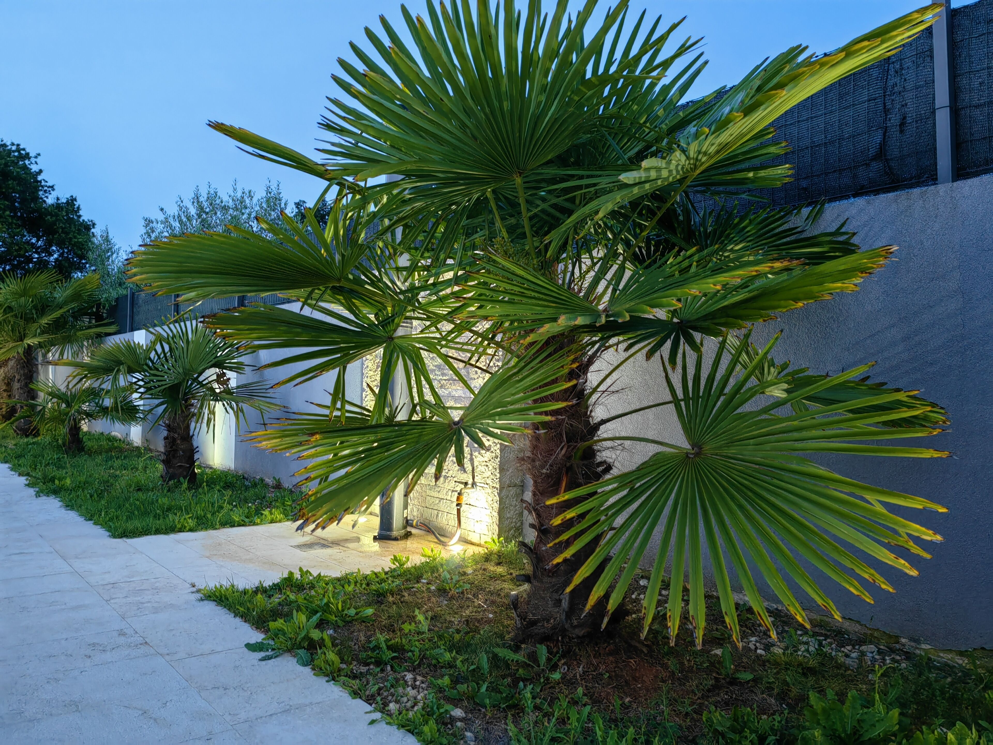 المنطقة المحيطة بالمنشأة