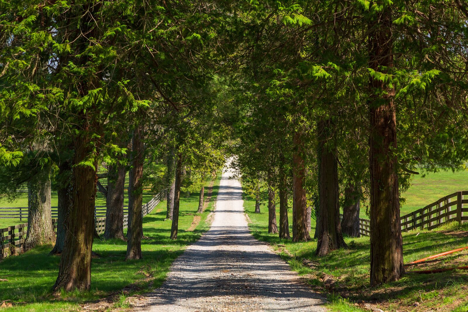 Ein Kiesweg, der von Bäumen und einem Holzzaun gesäumt wird, führt in ein grünes Feld.
