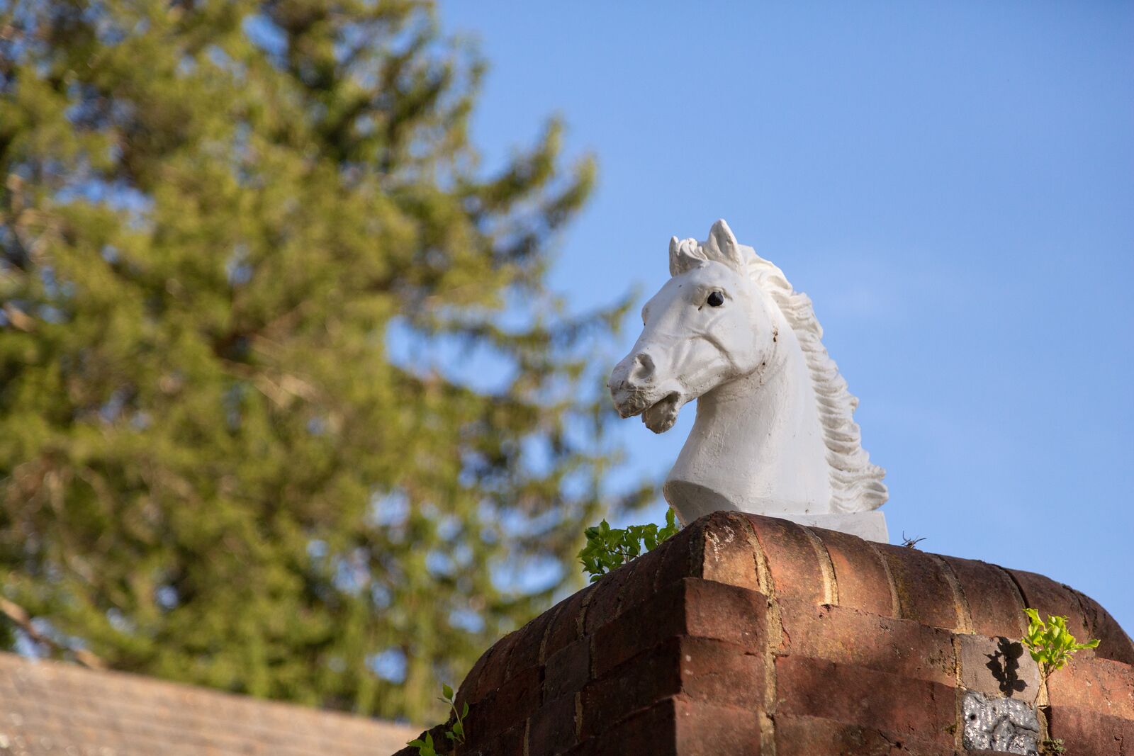 A white horse statue on a brick structure with a clear blue sky and trees in the background.