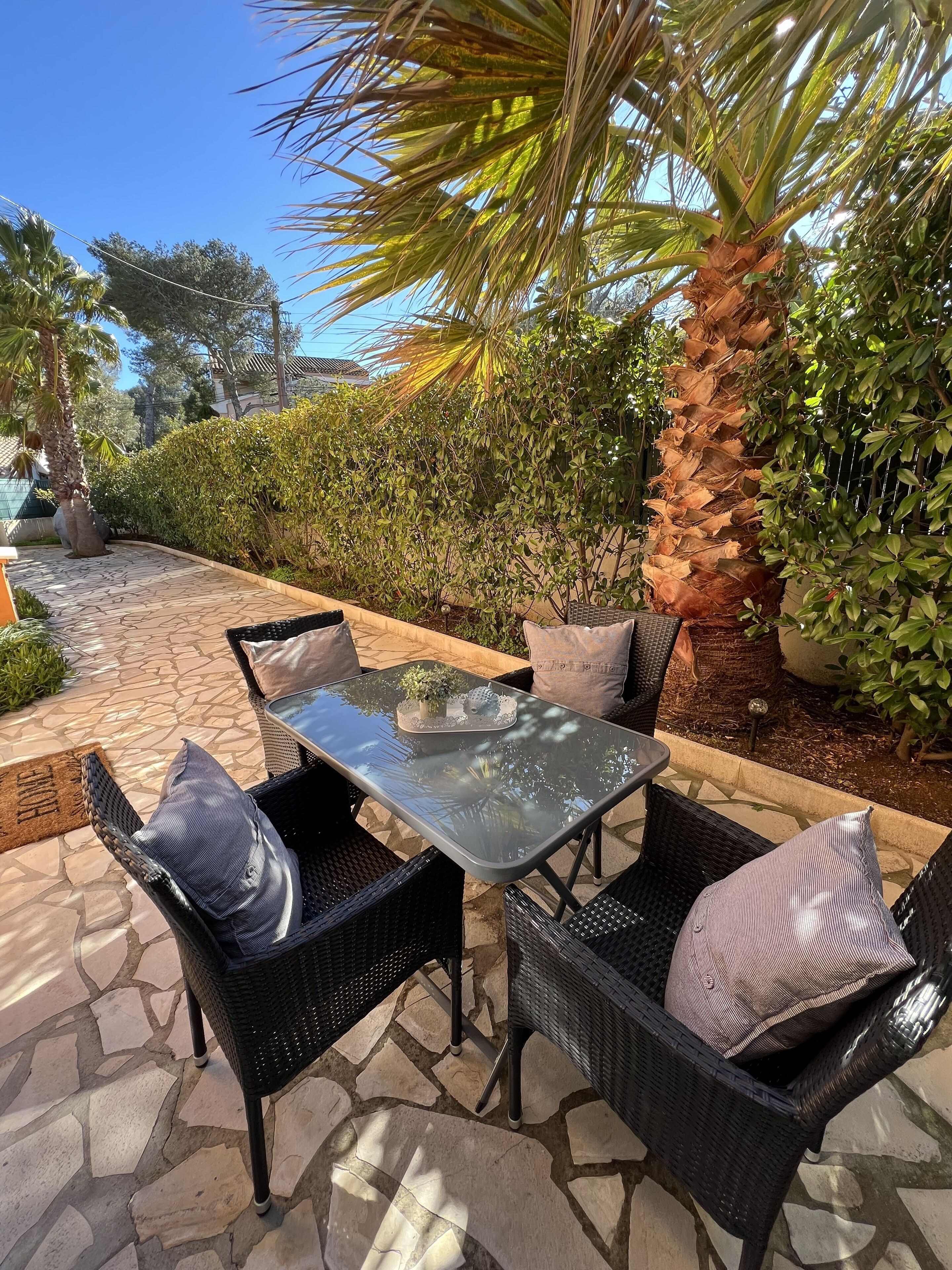 An outdoor patio with a glass-top table surrounded by wicker chairs, a palm tree, and various shrubs.