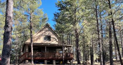 Flagstaff Cabin in Forest near Lake Mary. Mountain Views. Pet-Friendly