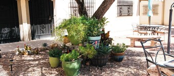 Calle Condo Summary: