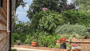 Ein Gartenweg mit Topfpflanzen und Blumen, umgeben von einer Backsteinmauer und einem Holzzaun.
