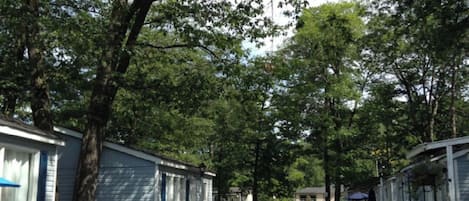 A row of mobile homes with white fences and trees in the background.