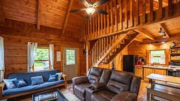 TV, DVD player, books, video library