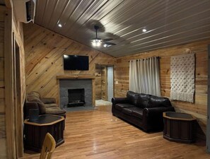 Smart TV, fireplace, books
