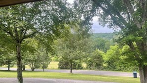Un sentier qui traverse un parc, avec des arbres et une route en arrière-plan.