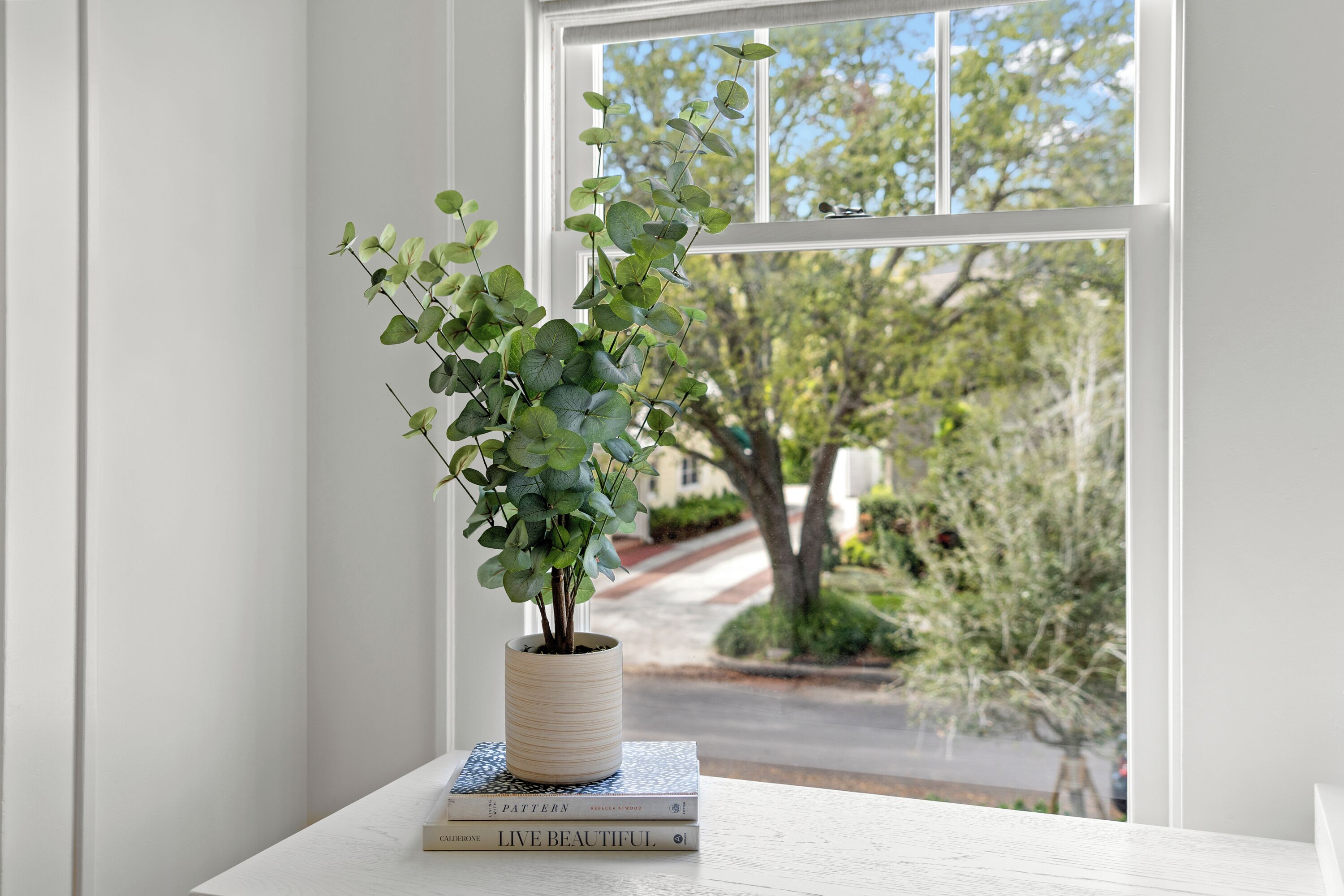 A potted plant on a white table next to a window with a view of trees and a street.